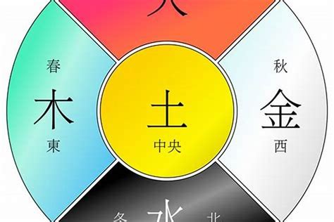 乙巳五行|乙巳年是什么意思 乙巳年五行属什么